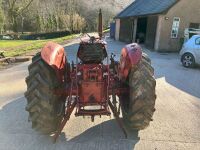 INTERNATIONAL 434 2WD TRACTOR - 5