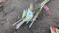 10 AS NEW ELECTRIC FENCE STAKES - 2