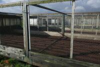 METAL VERANDA AND NIGHT SHELTER PENS - 6