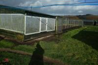 METAL VERANDA AND NIGHT SHELTER PENS - 7