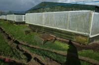 METAL VERANDA AND NIGHT SHELTER PENS - 8