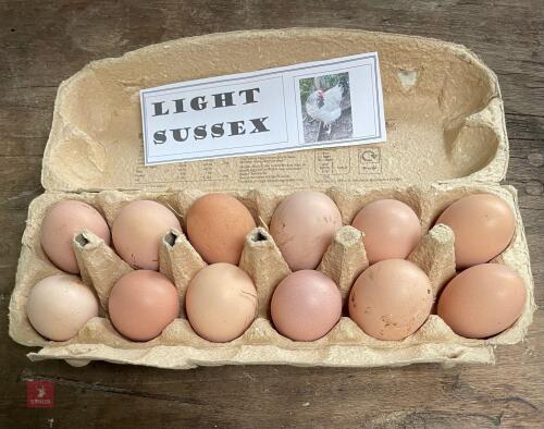 1 DOZEN LIGHT SUSSEX HATCHING EGGS BIDS FOR THE DOZEN