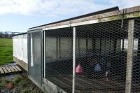 METAL VERANDA AND NIGHT SHELTER PENS - 9