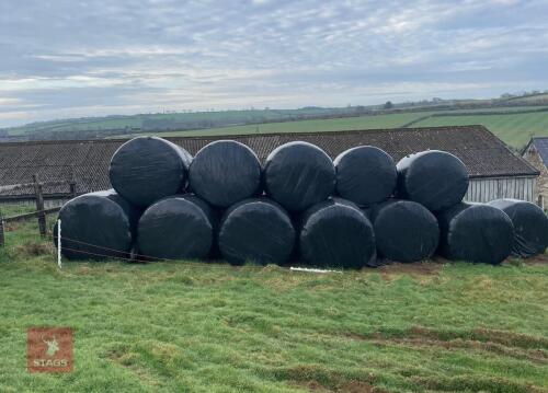 25 ROUND BALES OF 2023 HAYLAGE BIDS FOR THE GROUP