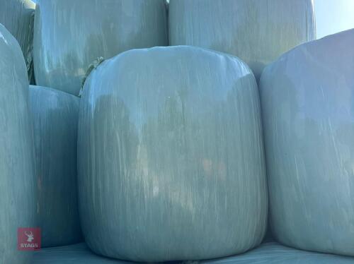 50 ROUND BALES OF 2024 HAYLAGE BIDS PER BALE