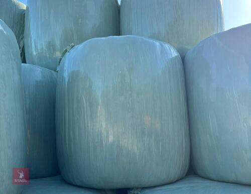 50 ROUND BALES OF 2024 HAYLAGE BIDS PER BALE