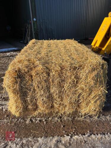 20 QUADRANT BALES OF 2024 BARLEY STRAW BIDS PER BALE