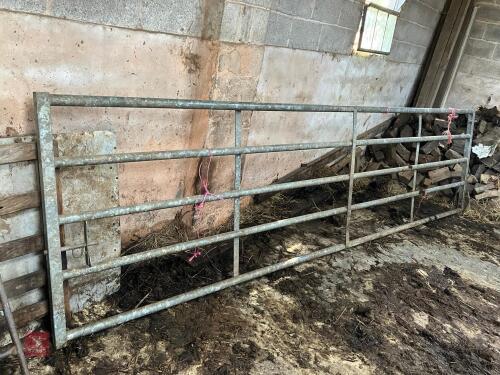 14' GALVANISED HD YARD GATE