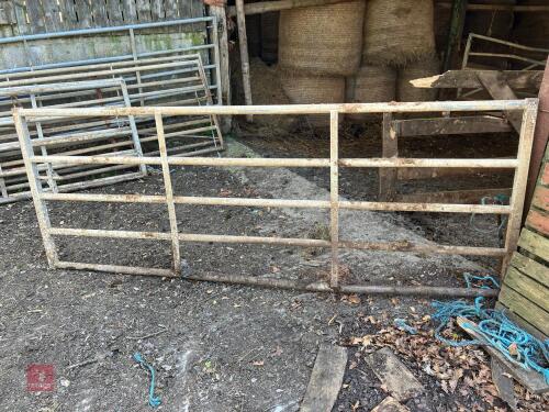 10' GALVANISED YARD GATE