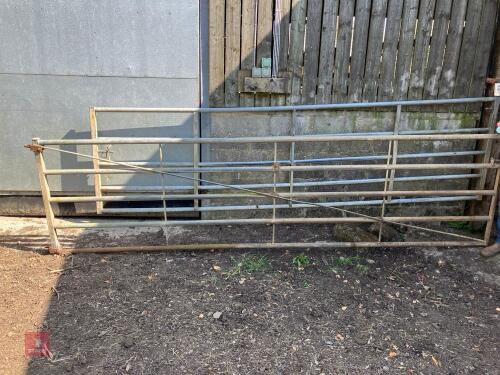 14' HD YARD GATE