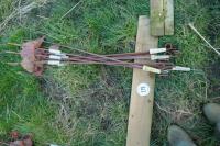10 METAL ELECTRIC FENCE STAKES - 3