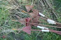 10 METAL ELECTRIC FENCE STAKES - 2