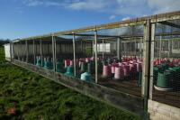 METAL VERANDA AND NIGHT SHELTER PENS - 4