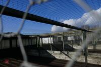 METAL VERANDA AND NIGHT SHELTER PENS - 18