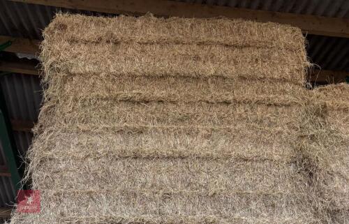 50 BALES OF 2024 HAY BIDS PER BALE