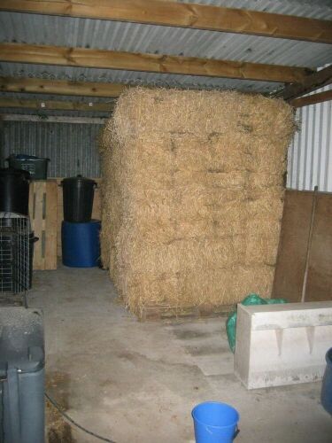 49 COVENTIONAL BALES OF 2022 LUCERNE HAY BIDS FOR THE GROUP