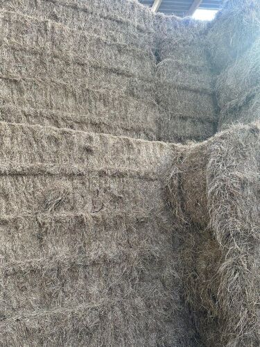 100 4 STRING BALES OF MEADOW HAY BIDS PER BALE