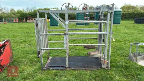 GALVANISED FOOT TRIMMING CRUSH