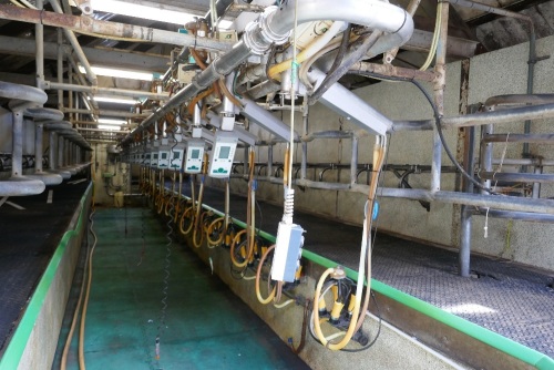 GEA-WESTFALIA 16/32 MILKING PARLOUR