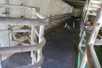 GEA-WESTFALIA 16/32 MILKING PARLOUR - 2