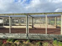 METAL VERANDA AND NIGHT SHELTER PENS - 17