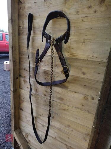 CATTLE SHOW HEAD COLLAR