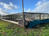 METAL VERANDA AND NIGHT SHELTER PENS - 3