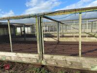 METAL VERANDA AND NIGHT SHELTER PENS - 10