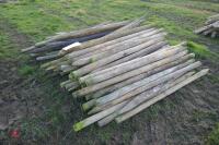 APPROX 100 WOODEN 5'6" FENCE STAKES - 3