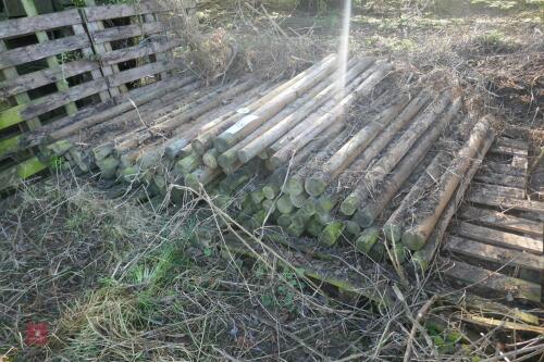 APPROX 100 WOODEN 5'6" FENCE STAKES