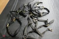 4 PONY HARNESSES - 3
