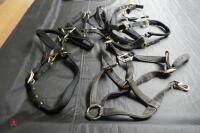 4 PONY HARNESSES - 5