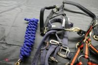 4 PONY HARNESSES & LEAD ROPE - 4