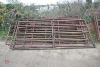 5 BOX IRON INTERNAL YARD GATES