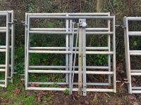 2 4FT 4" GATES, WALL PLATES, 2 PINS