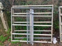 2 4FT 4" GATES, WALL PLATES, 3 PINS