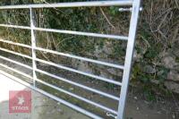 IAE 12' GALVANISED GATE - 4