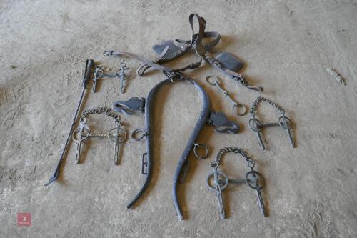 QTY ANTIQUE HORSE EQUIPMENT