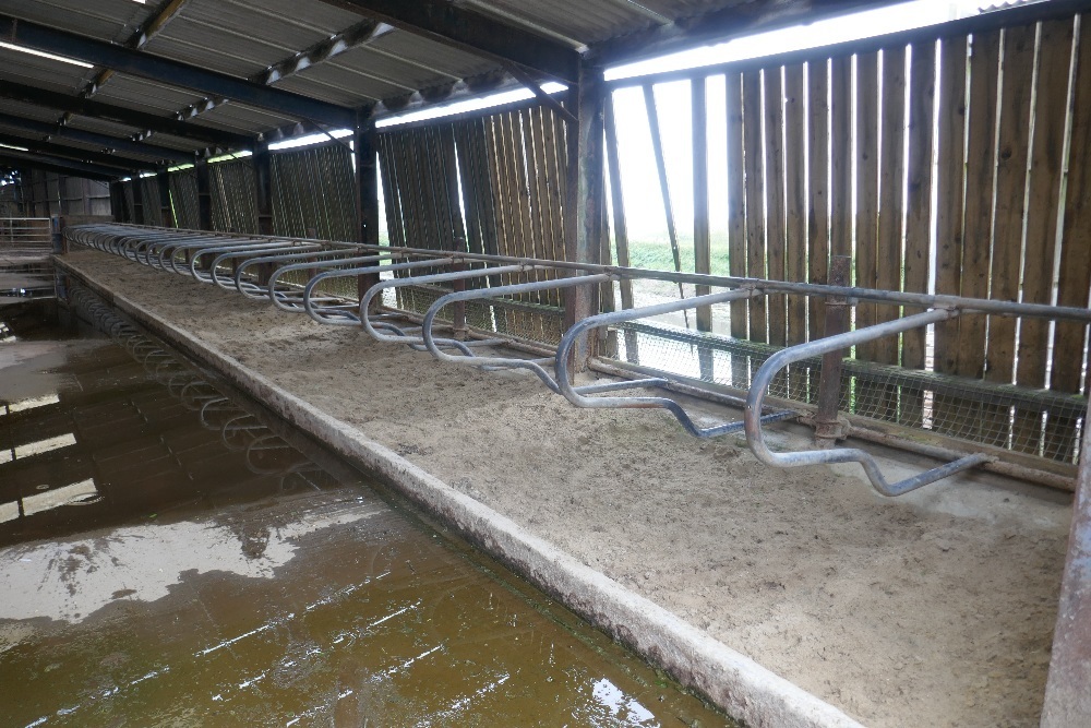 71 X DE BOER GALV COW CUBICLES