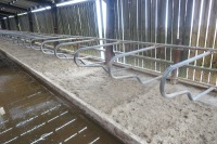 71 X DE BOER GALV COW CUBICLES - 2