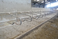 71 X DE BOER GALV COW CUBICLES - 6