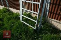 GALVANISED CATTLE RACE GATE - 4