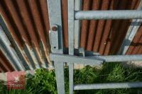 GALVANISED CATTLE RACE GATE - 7