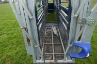 GSF 7.5M MOBILE CATTLE SQUEEZE CRUSH - 11