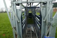 GSF 7.5M MOBILE CATTLE SQUEEZE CRUSH - 24