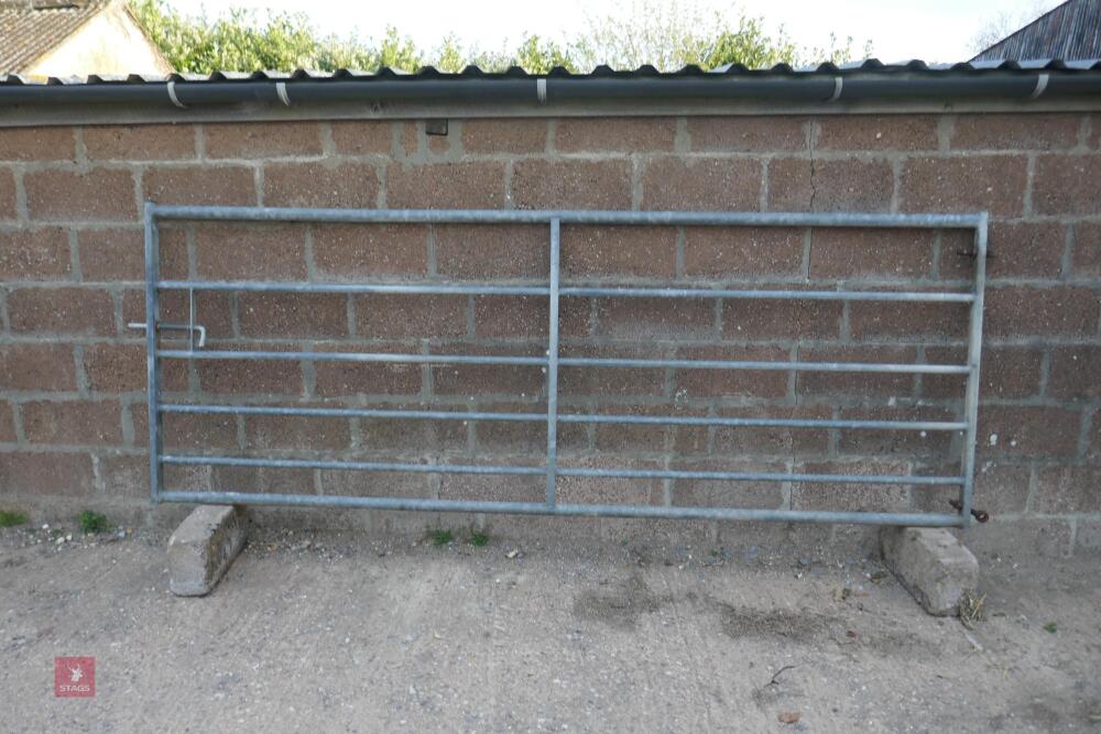 10FT GALV FIELD GATE