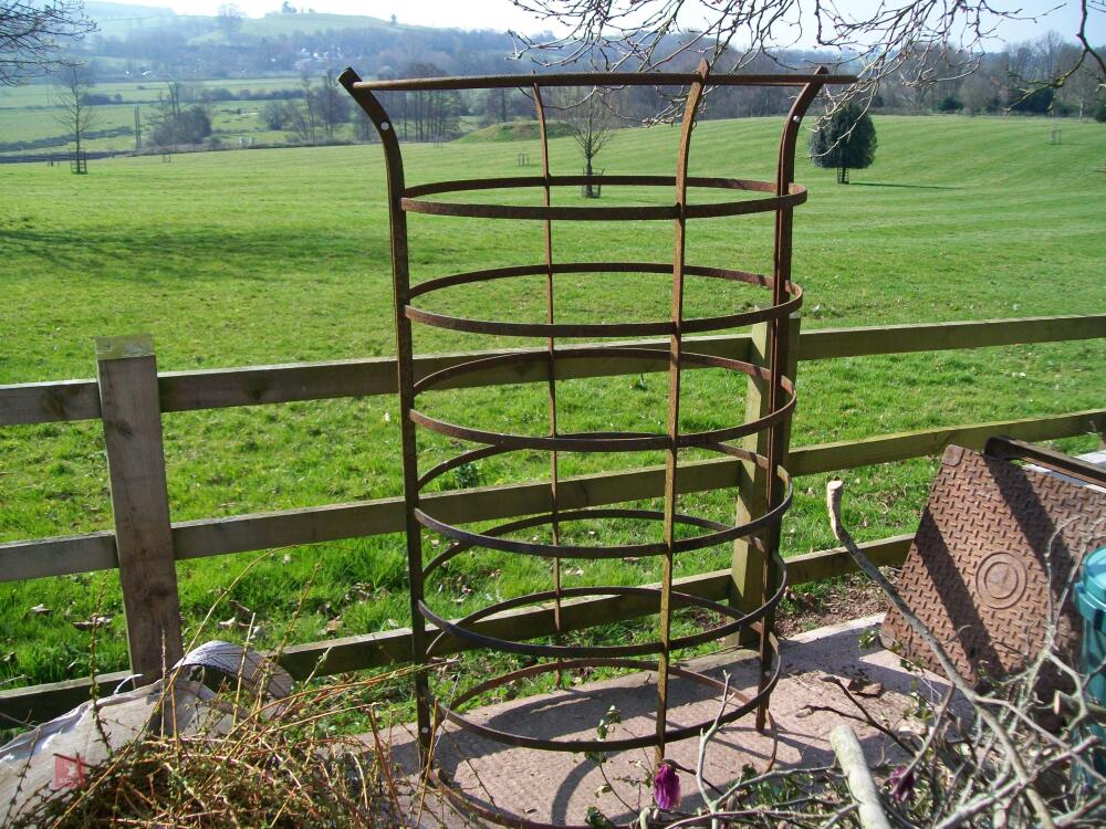 VICTORIAN TREE GUARD