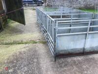 AIE CALF PENS - 2