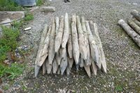 29 CHESTNUT FENCING POSTS - 2