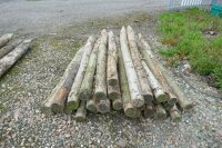 29 CHESTNUT FENCING POSTS - 3